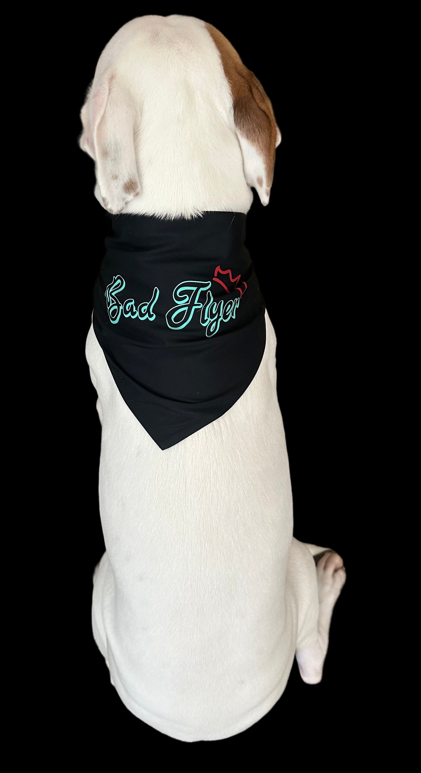 BadFlyer Doggie Bandanna 🐾